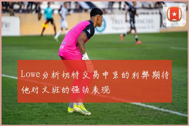 Lowe分析切特交易申京的利弊期待他对文班的强劲表现
