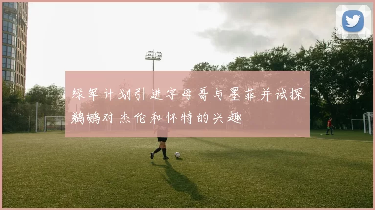绿军计划引进字母哥与墨菲并试探鹈鹕对杰伦和怀特的兴趣