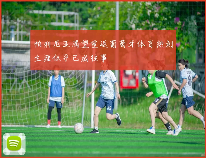 帕利尼亚渴望重返葡萄牙体育热刺生涯似乎已成往事