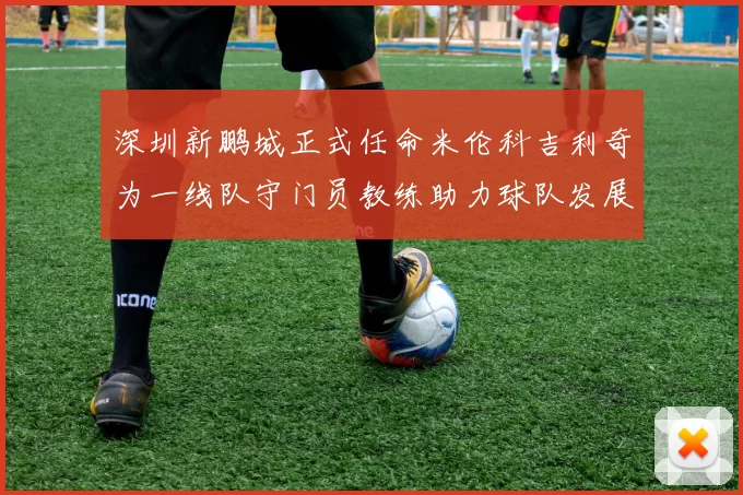 深圳新鹏城正式任命米伦科吉利奇为一线队守门员教练助力球队发展